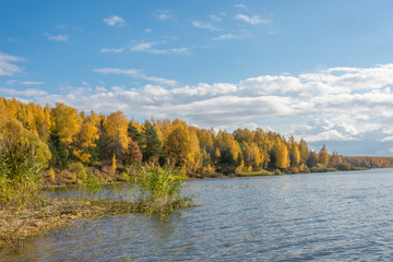 Осенний лес на берегу реки.