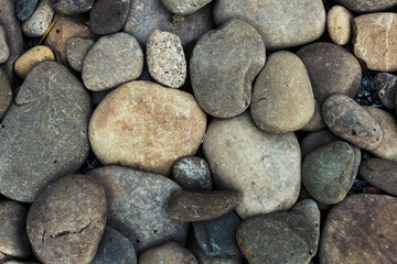 texture of   sea stones