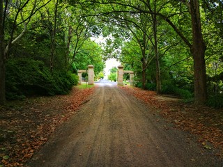 Avenue of trees to the gate