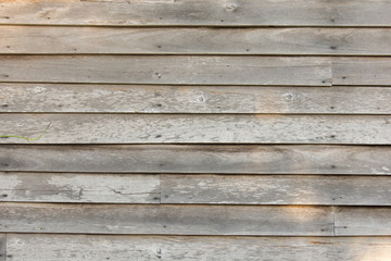 Obraz premium Old Wood texture background
