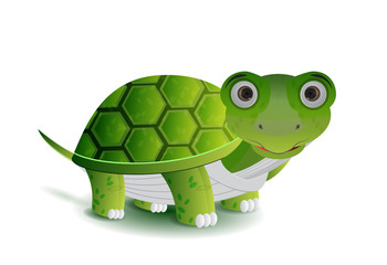 green turtle illustration