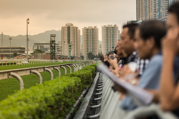 Public show a Horse Race track