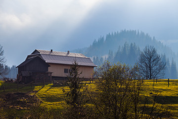 Fog covering the mountain forests