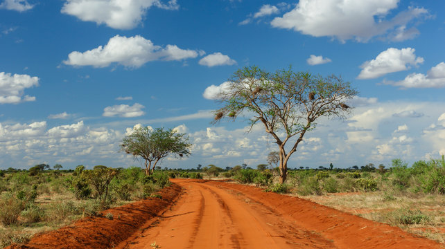 Rote Erde in Tsavo, Kenia