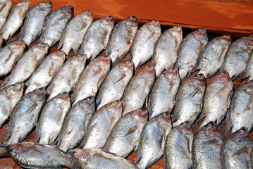 The market of the Village of Pomerini - Fish Market  - Tanzania