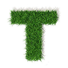 T Lettera erba verde, isolata su sfondo bianco