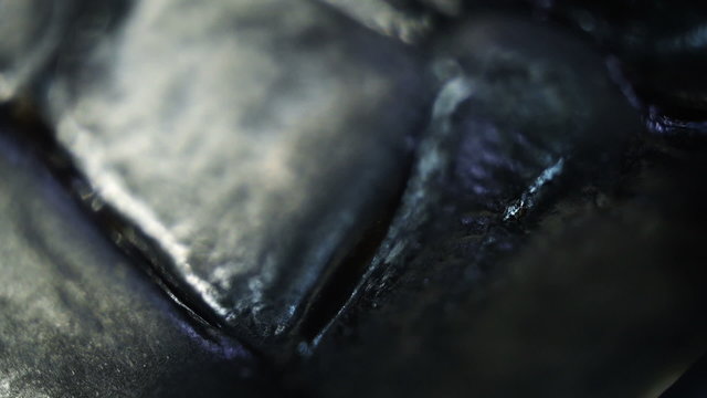 Insect. Sequence. Extreme close-up. Macro