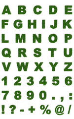 Erba Lettere 3d verdi Prato Alfabeto ABC