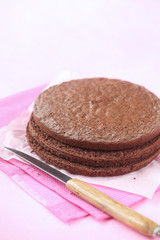 Chocolate Sponge Cake