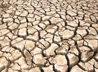 Dry cracked ground