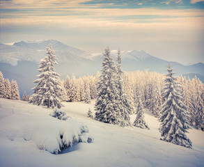 Fototapeta na wymiar Beautiful winter morning in the mountain.