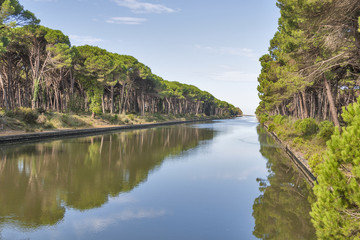 Fototapeta na wymiar Channel of San Rossore Regional Park, Italy