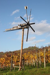 Herbst im Weingarten 18