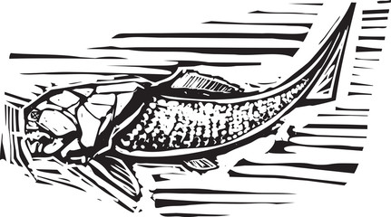Dunkleosteus Fossil Fish