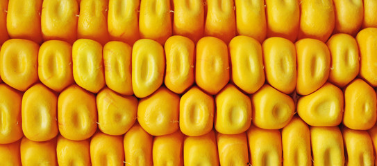 corn texture