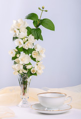 Still Life with Jasmine flowers  in a vase