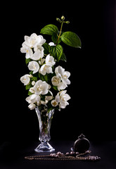 Still Life with Jasmine flowers  in a vase