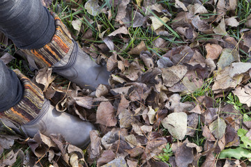 Boots and leaves at autumn