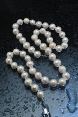 pearl necklace lying on blue water dropped background