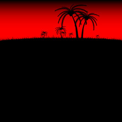 palm tree silhouette for background vector