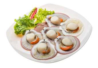 Raw fresh scallop