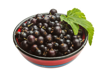 Black currant