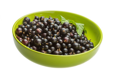 Black currant