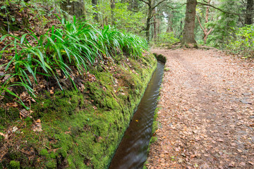 Levada of Caldeirao Verde, Madeira (Portugal)