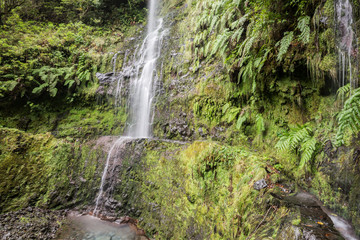 Waterfall in the Levada of Caldeirao Verde, Madeira (Portugal)