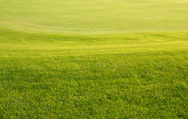 Real Putting Green