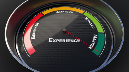 Experience level indicator