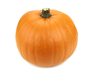 Pumpkin isolated on  white background.