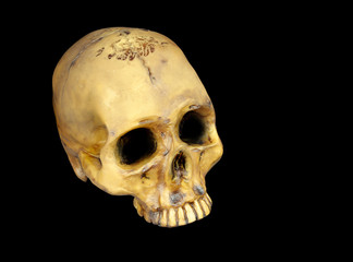 Old human skull isolated on black background.