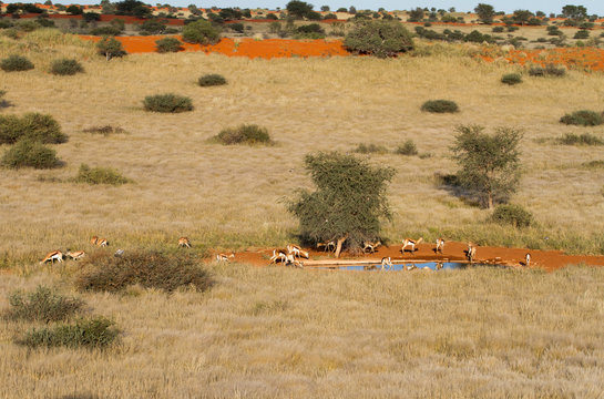 Springbok, Namibia