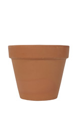 Terrcota Garden Pot