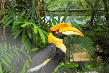 bird on tree in the nature