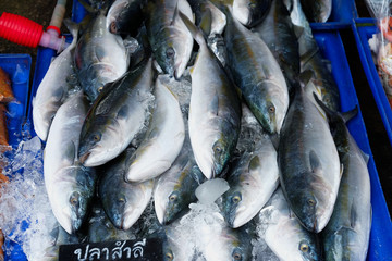 Fototapeta premium closeup variety of fresh fish seafood on ice in market