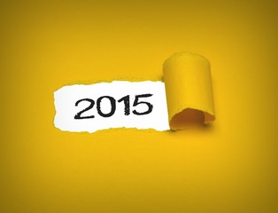 2015 Ausblick - Konzept