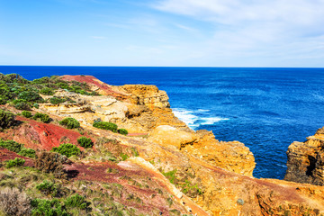 Fototapeta na wymiar seascape,landscape and skyline ofthe great ocean road,australia