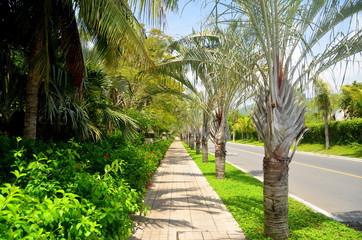 Fototapeta premium The road along the Yalong Bay, China, Sanya, May 2011