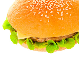 Big hamburger on white background