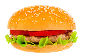 Big hamburger on white background