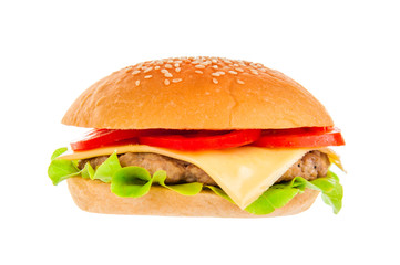 Big hamburger on white background