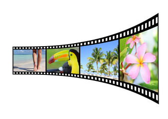Film strip with pictures of tropical nature