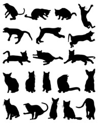 Black silhouettes of cats, vector illustration