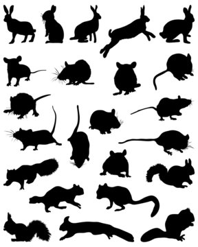 Silhouettes of rodents, vector illustration