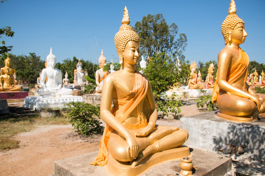 Buddha statues image