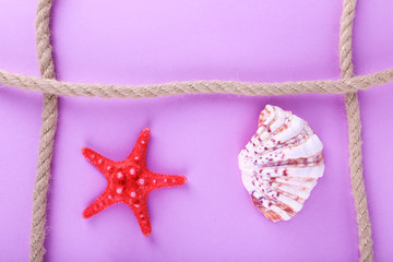 Fototapeta na wymiar Sea souvenirs on purple background