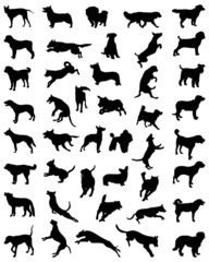 Different black silhouettes of dogs 2, vector