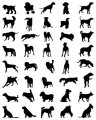 Black silhouettes of dogs, vector illustration